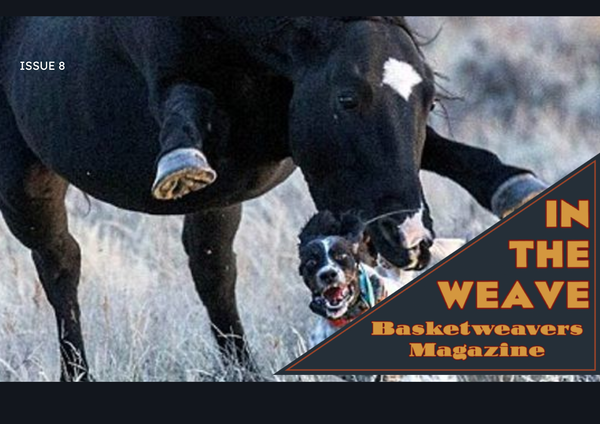 https://basketweavers.net/content/files/2025/10/_In-The-Weave-8.pdf